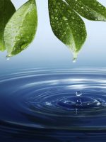 Regolamentazione acque reflue